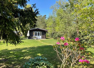 Cabane robuste en rondins (5p) à Holterberg - 5