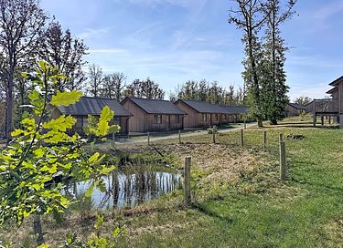 Chalet (4 persone) nelle Ardenne - 11