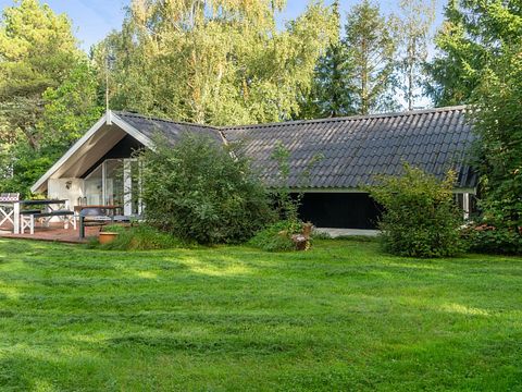 Vakantiehuis omgeven door groen met terras - 4