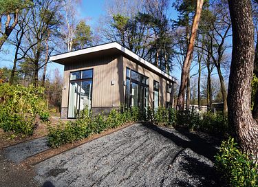 Vakantiehuis in de bossen van de Veluwe