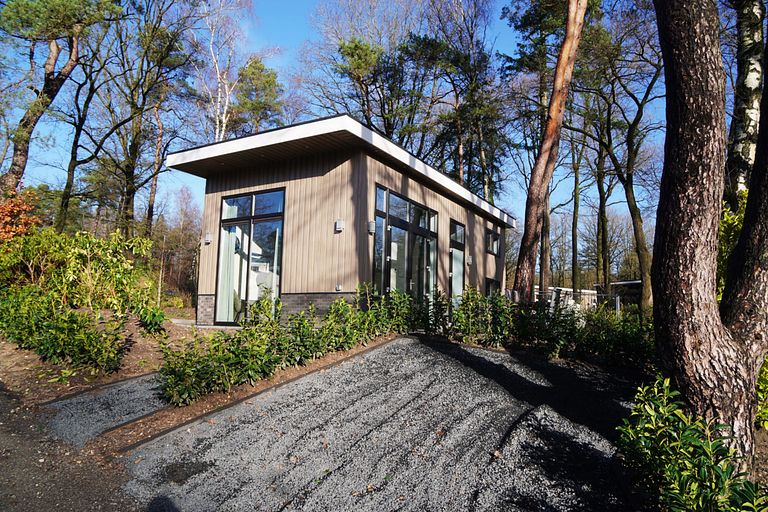 Holiday home in the woods of the Veluwe - 1