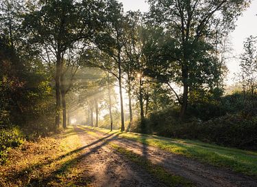 Maison la forêt idyllique dans le sud-est de la Frise - 27
