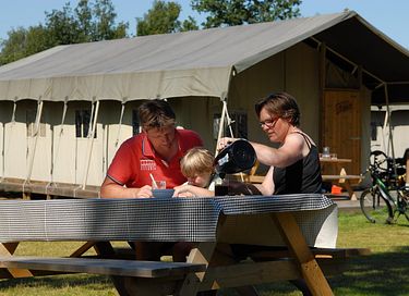 Glamping tent on family campsite near Veluwe - 2