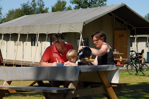 Glamping tent on family campsite near Veluwe - 2