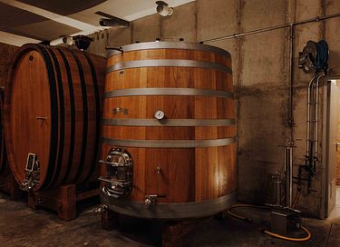 Ein Aufenthalt in den Weinbergen Frankreichs - 23