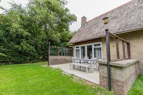 Familienhaus am Waldrand auf Ameland - 4