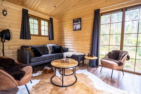 Chalet rustique dans le Veluwe - 4
