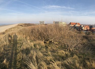 Aan het strand in een historisch ziekenhuis - 13