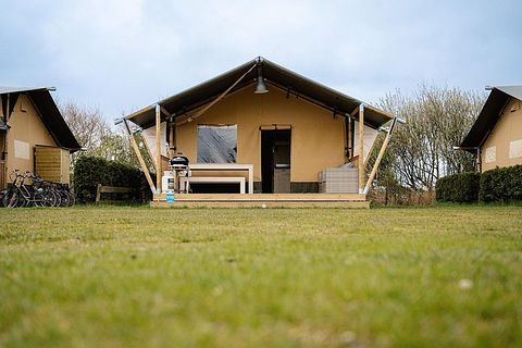 Prachtige familiecamping op Ameland - 5