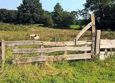 Lodge (sleeps 4) with wellness facilities in Overijssel - 28