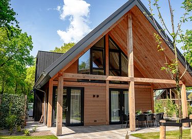 Luxury villa with hot tub on the Veluwe - 2