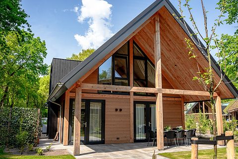 Luxury villa with hot tub on the Veluwe - 2