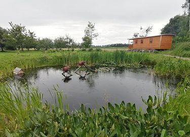 Unieke, landelijk gelegen pipowagen  - 2