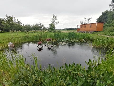 Unieke, landelijk gelegen pipowagen  - 2