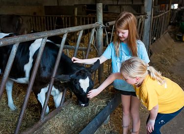 Glamping auf der Dairy & Calf Farm - 15