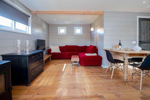 4-person cottage in the woods of Drenthe - 5