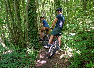 Lodge avec vue imprenable dans les Ardennes - 39
