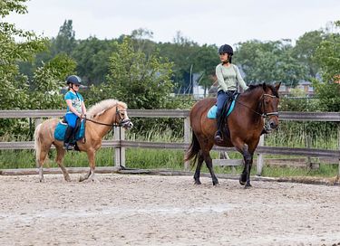 Glamping op Paarden & ponyboerderij - 5