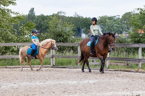 Glamping op Paarden & ponyboerderij - 5
