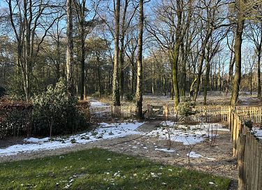 Natuurlodge (4 personen) met privé wellness  - 9