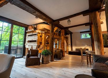 Historische watermolen in groene omgeving - 7