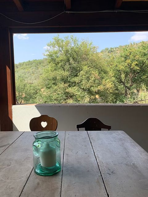Séjour confortable avec terrasse couverte privée - 3