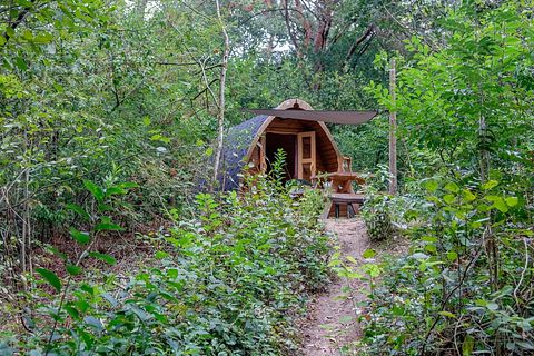 Gemütliche Gondel in den Wäldern von Drenthe - 2