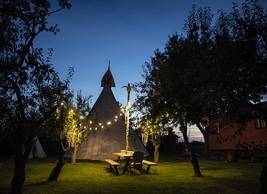 Slapen tussen de schapen in een tipi (5 pers) - 26