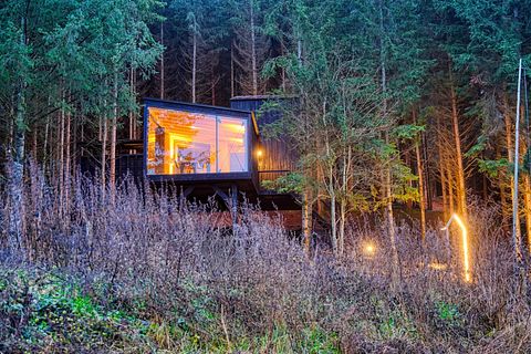 Special overnight stay among the trees - 3