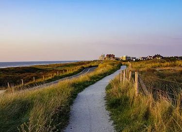 Kindvriendelijke vakantiewoning in de duinen - 32