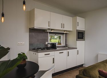 Lodge de luxe avec sauna et bain à remous à Overijssel - 8