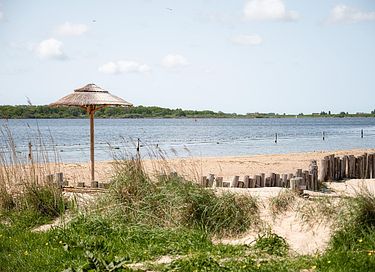 Leuke familiecamping aan het water in Zeeland - 34