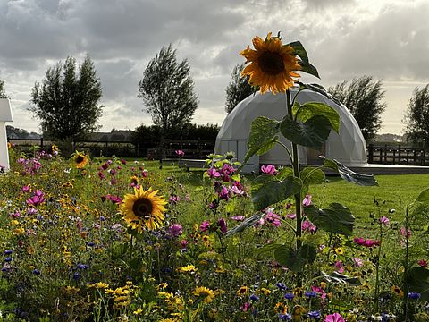Romantische glamping Dome met privé hottub - 3