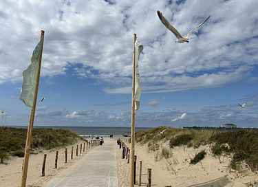 Villa voor 8 personen bij strand en duinen - 12