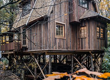 Luxe en ruime boomhut voor 6 personen - 26