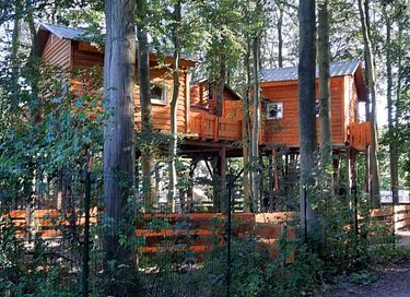 Tree villa for 6 persons - 13