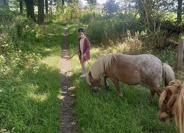 Sfeervol logeren in een historische boerderij - 23