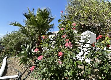 Vacation home (6p) with private pool in Spain - 9