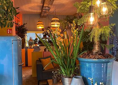 Ferienhaus mit vielen Pflanzen und Whirlpool - 20