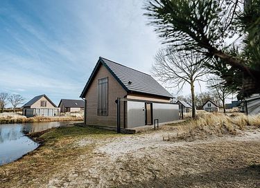 Spacious holiday home in the dunes near the sea