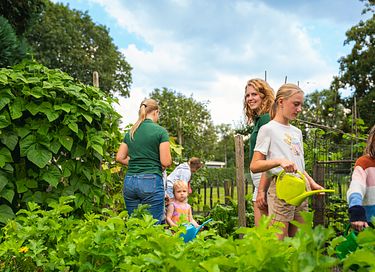 Uniek vakantiehuis in N-Brabant met hottub - 35