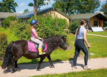  Glamping on horse farm near the coast - 18