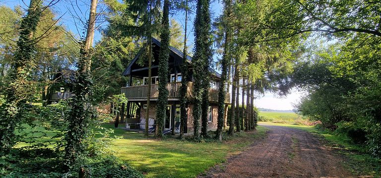 Prachtig boshuisje in Drenthe - 1