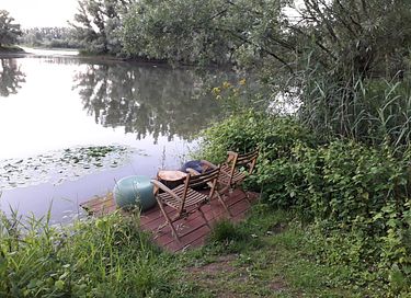 Tiny house overlooking a beaver's lair! - 4