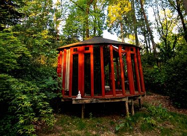 Yourte en verre dans la forêt
