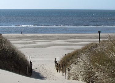 Logement de vacances dans les dunes avec beaucoup d'intimité - 55