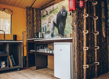 Tente safari de luxe en camping polyvalent - 16