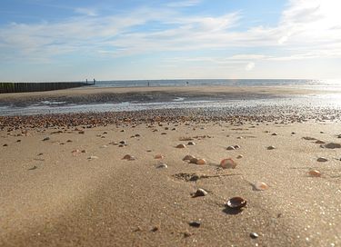Vier vakantie in Zeeland vlakbij het strand - 36