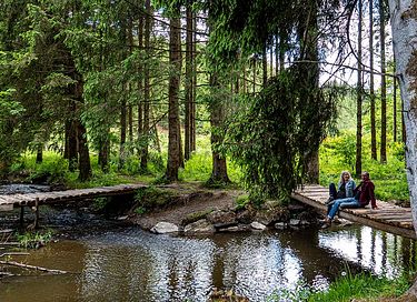 Chalet confortable avec poêle à bois dans les Ardennes - 18