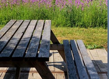 Glampingtent voor 2 personen in de natuur - 8